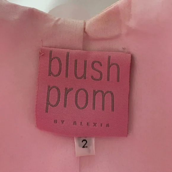 Blush Pink Prom Dress Size 2 - Picture 5 of 6